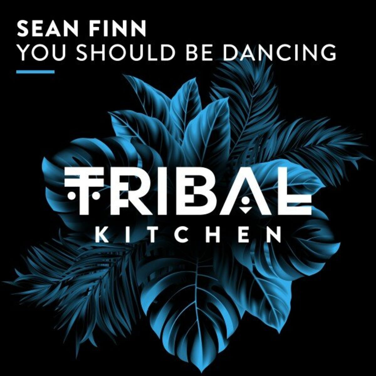 Album cover of You Should Be Dancing