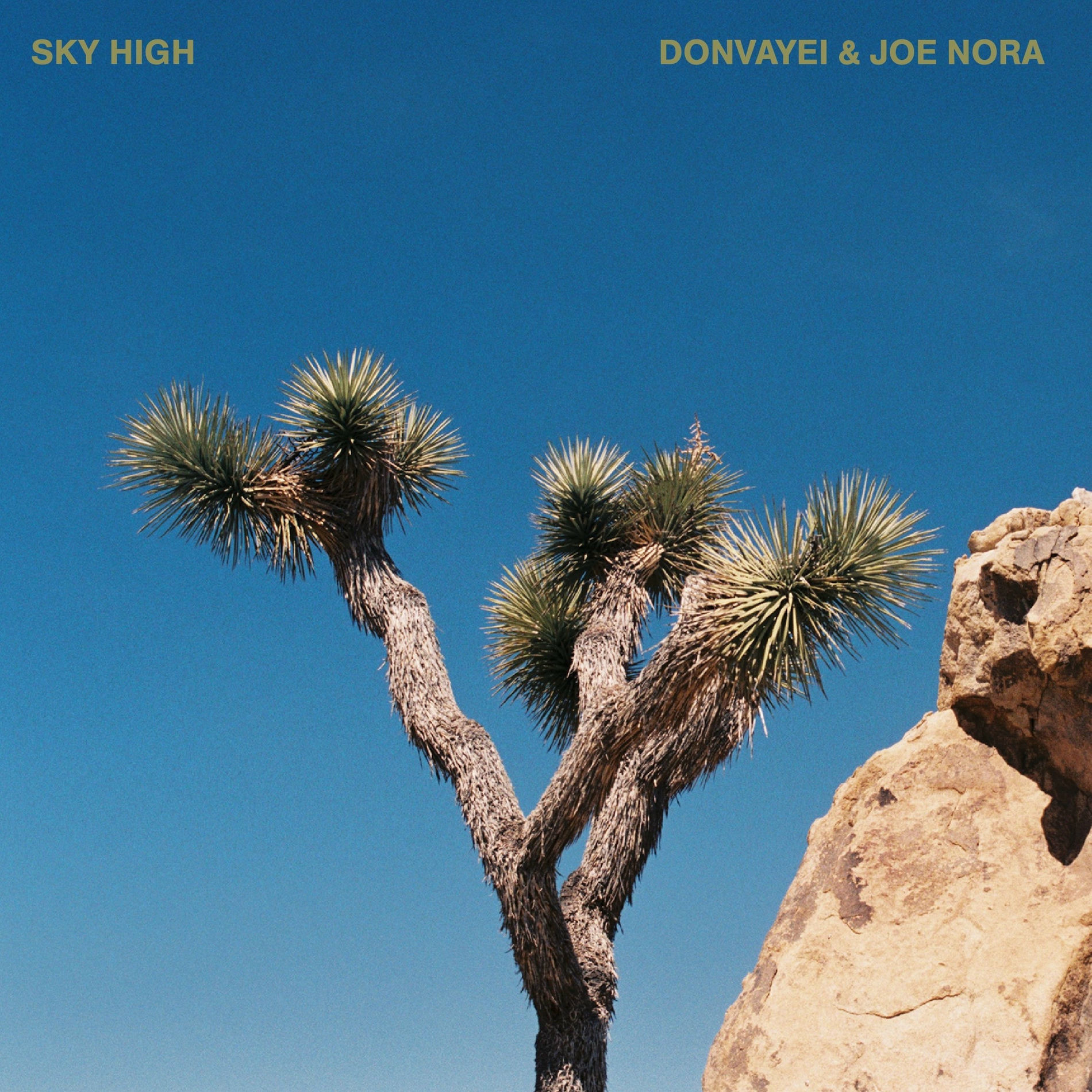 Album cover of sky high