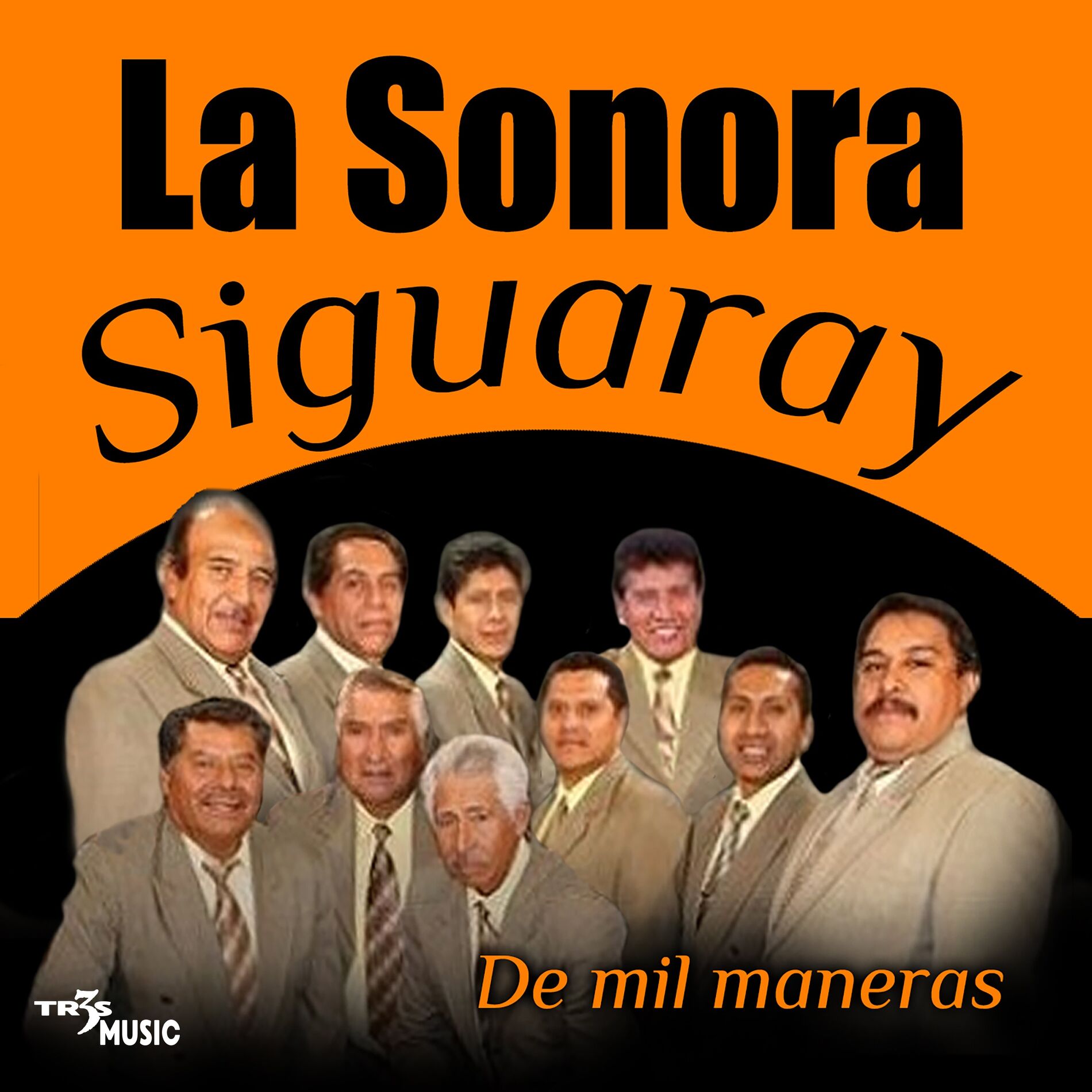 Album cover of Que Nadie Sepa Mi Sufrir