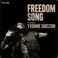 Freedom Song (feat. Yvonne Shelton)