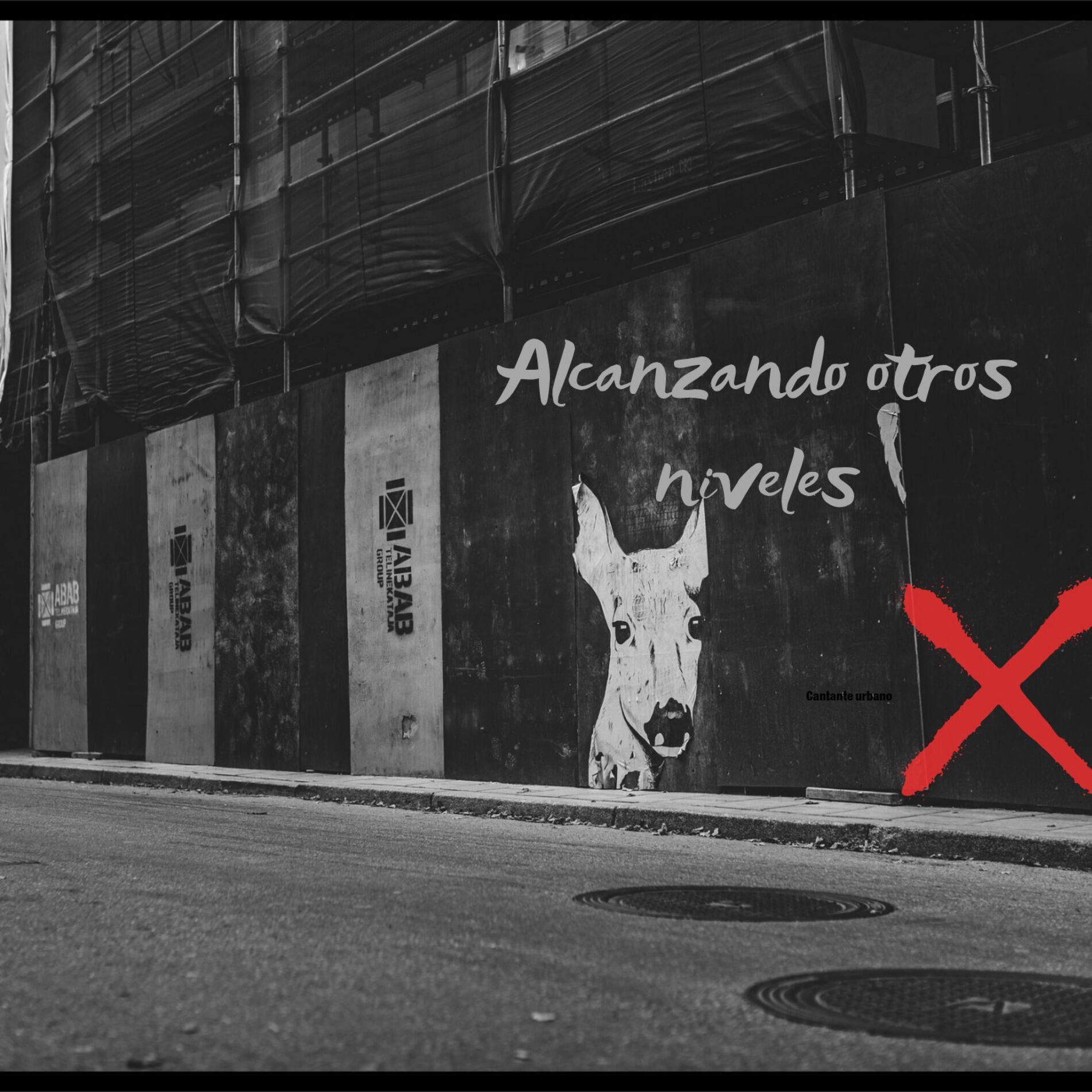 Album cover of sin ropa (feat. x) [Radio Edit]