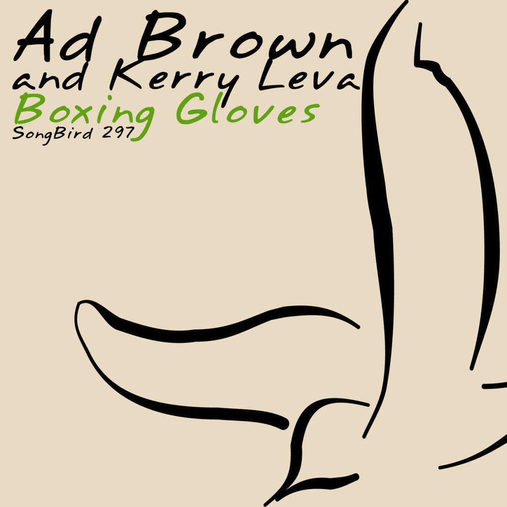 Picture of Boxing Gloves
