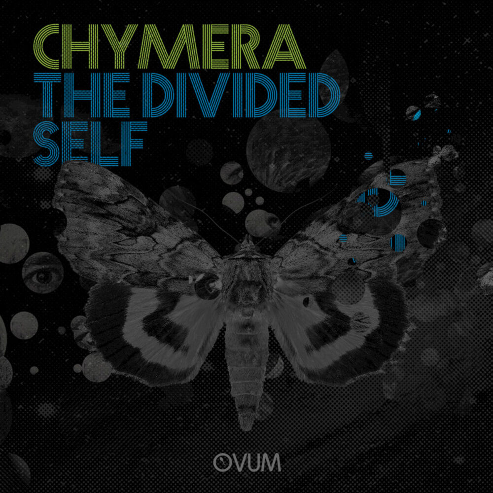 Picture of The Divided Self