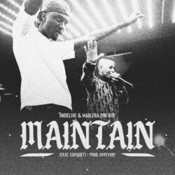 Cover of Maintain
