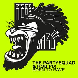 Cover of Born To Rave