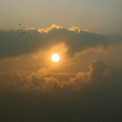 Cover of Golden Hour