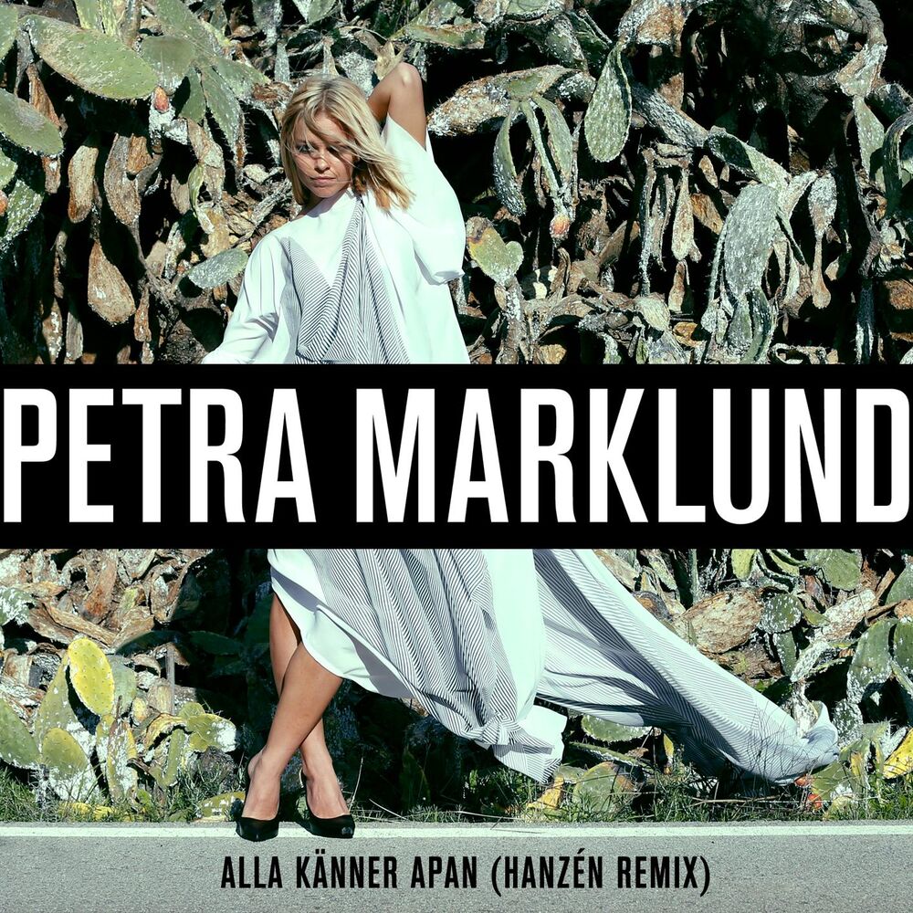Picture of Alla känner apan (Hanzén Remix)