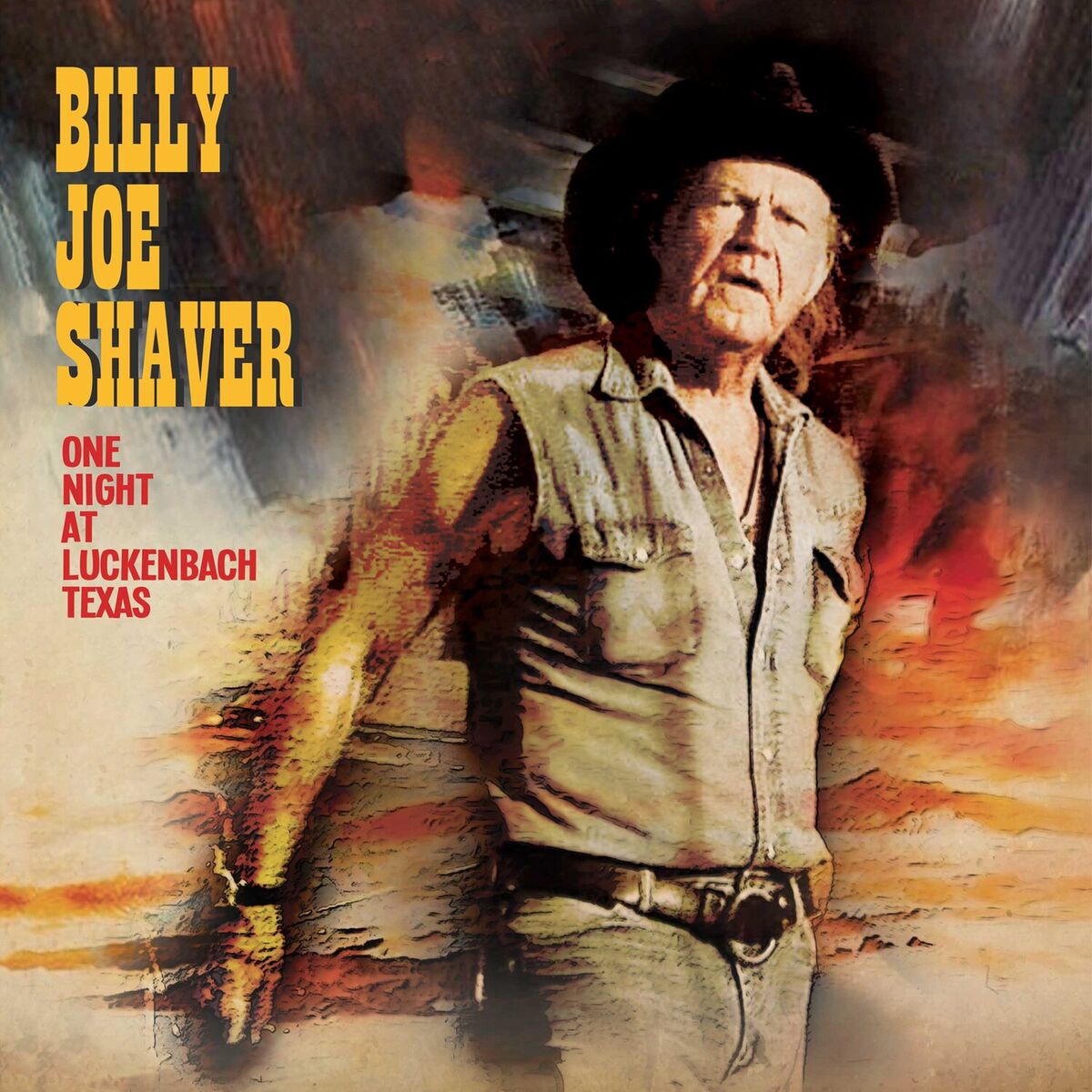 Album cover of One Night At Luckenbach Texas (Live)