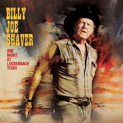 Cover of One Night At Luckenbach Texas (Live)