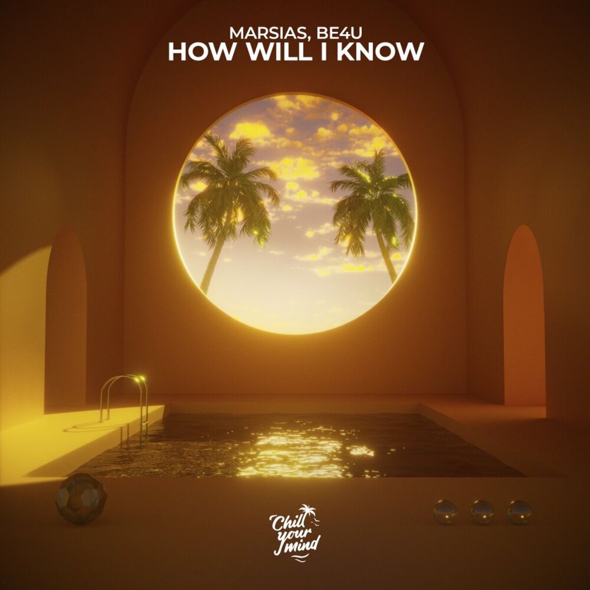 Album cover of How Will I Know