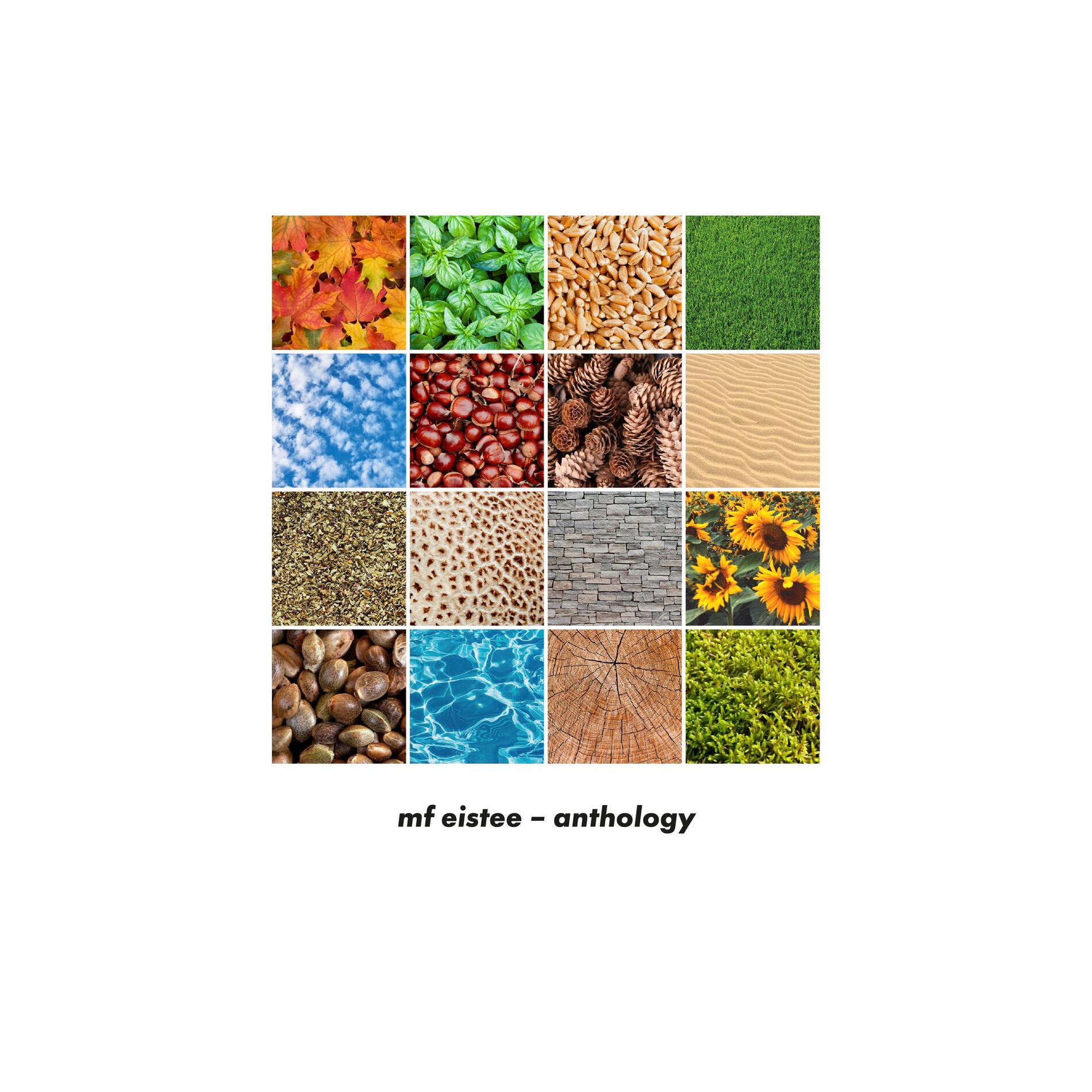 Album cover of anthology