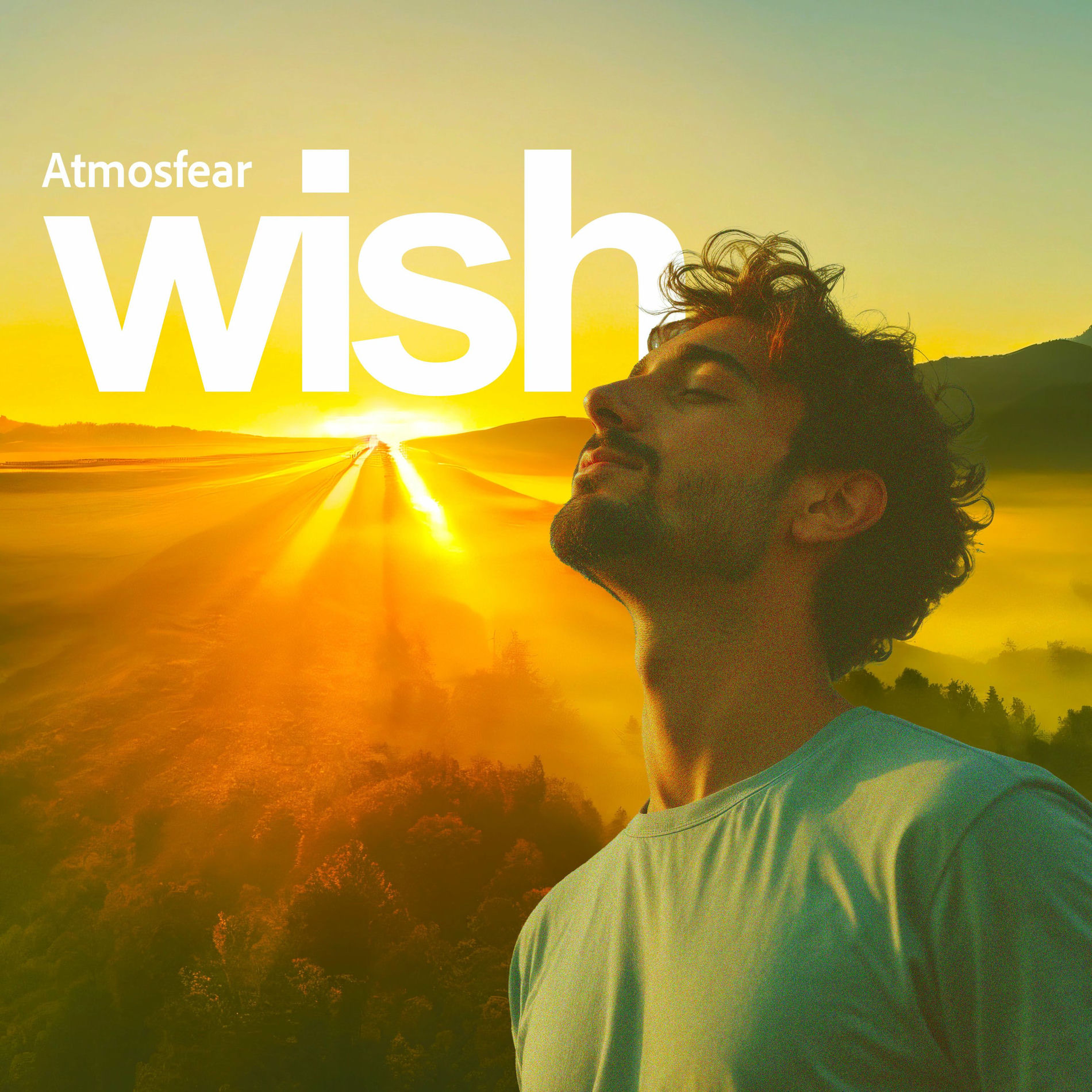 Album cover of Wish