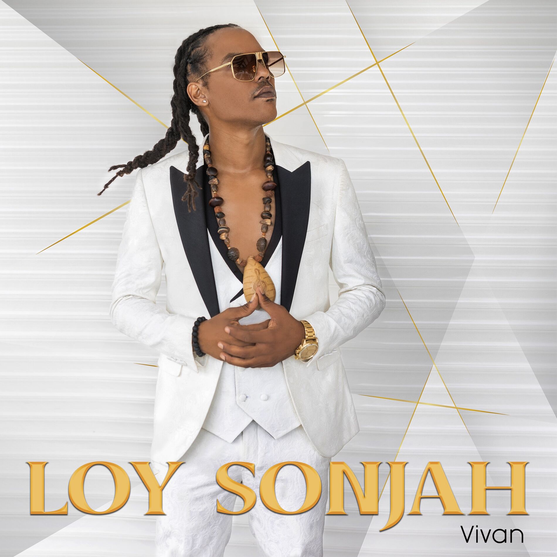 Album cover of Vivan