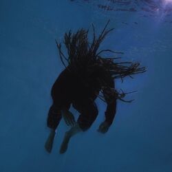 Cover of Tiefsee