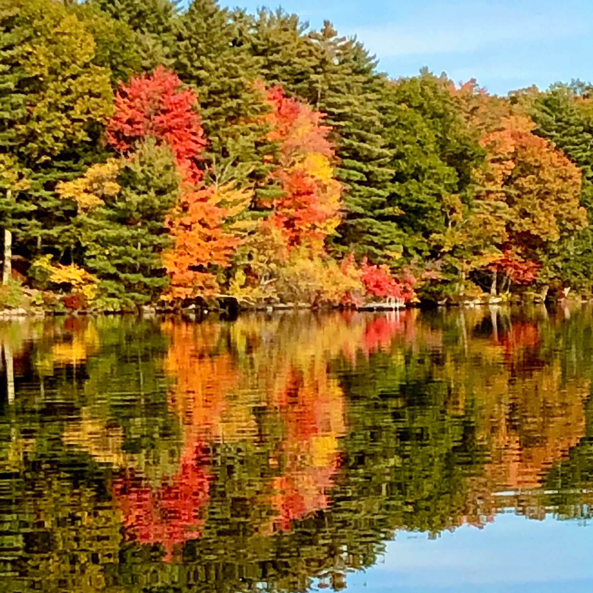 Album cover of Autumn Shoreline