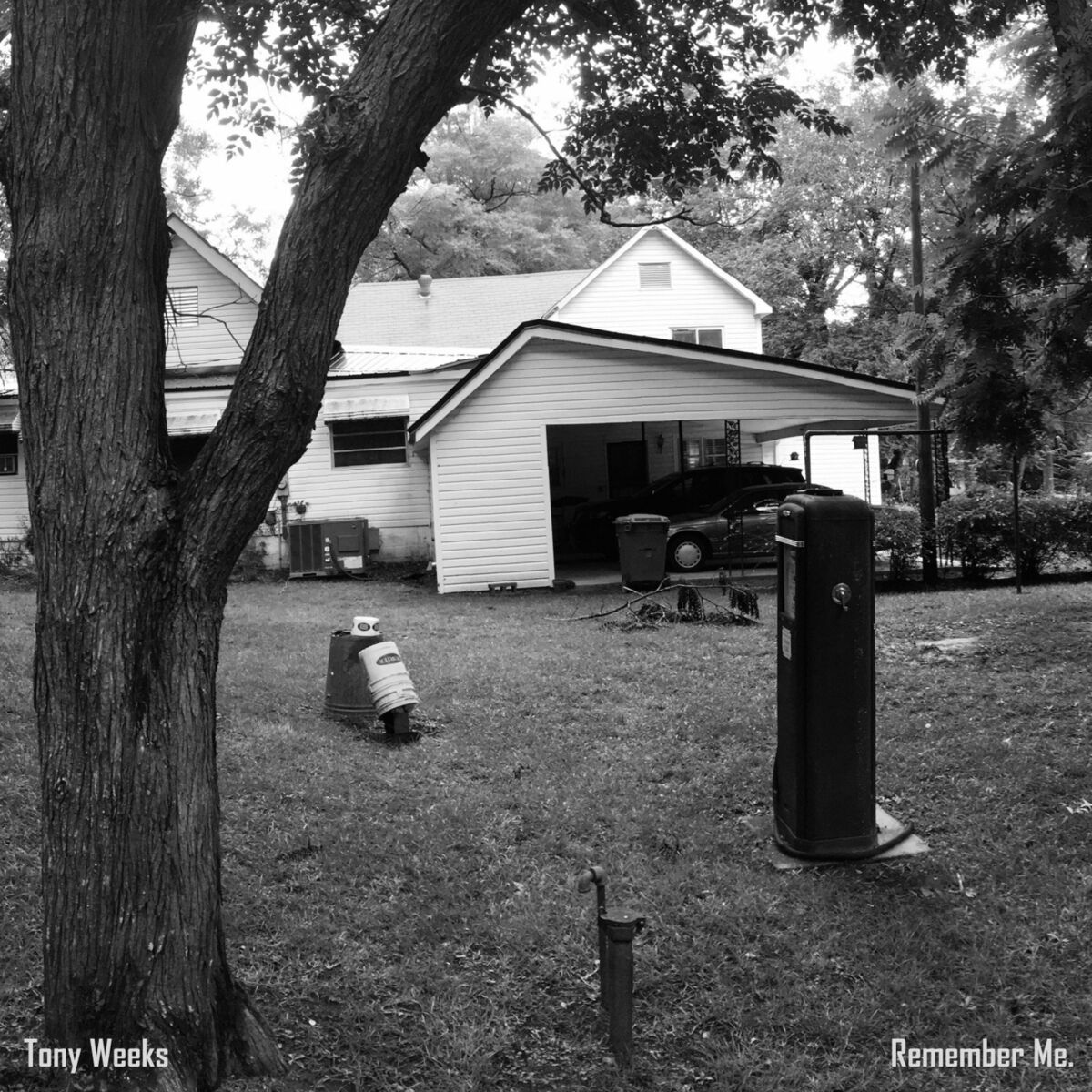 Album cover of Remember Me.