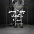Something About A Horse