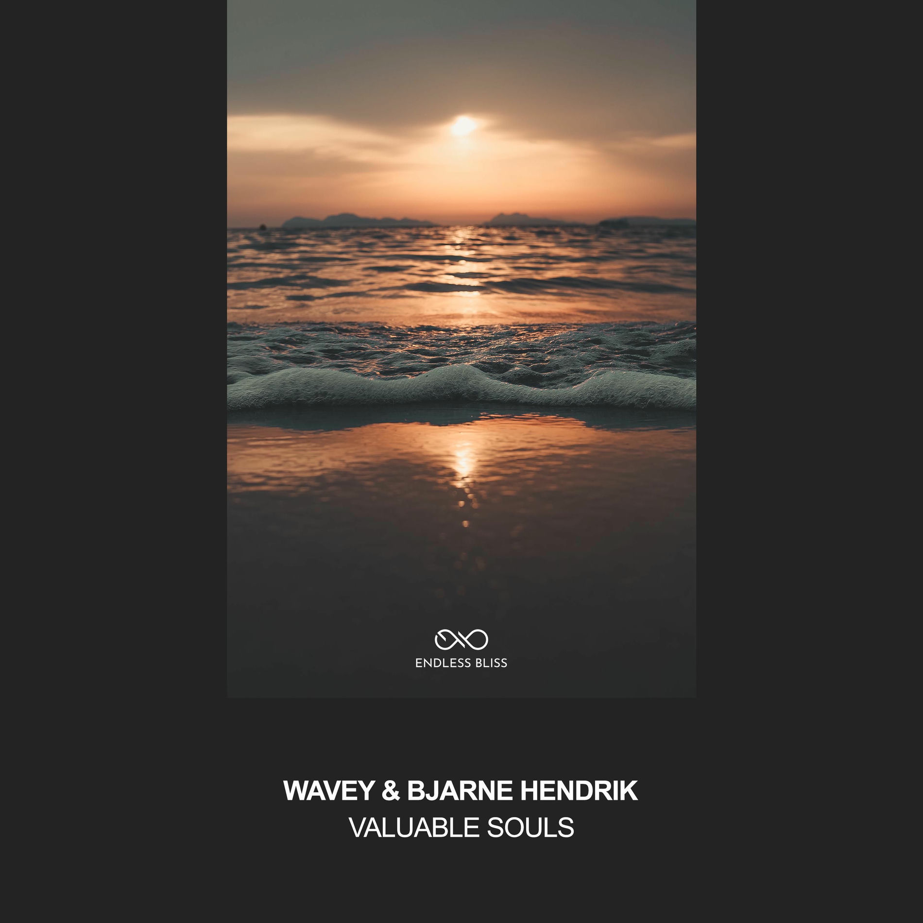 Album cover of Valuable Souls