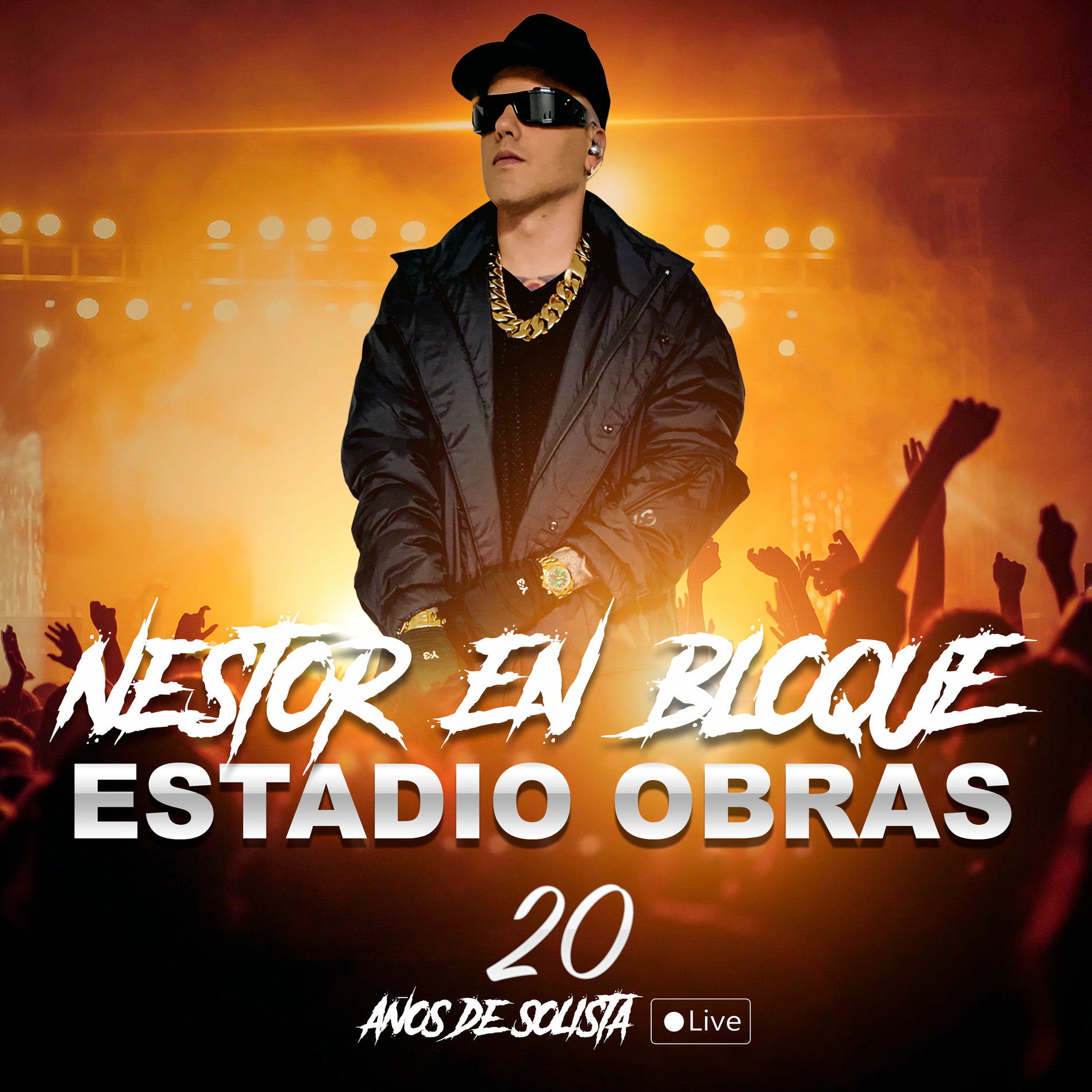 Album cover of Nestor en Bloque, Estadio Obras 20 Años de Solista (En Vivo)