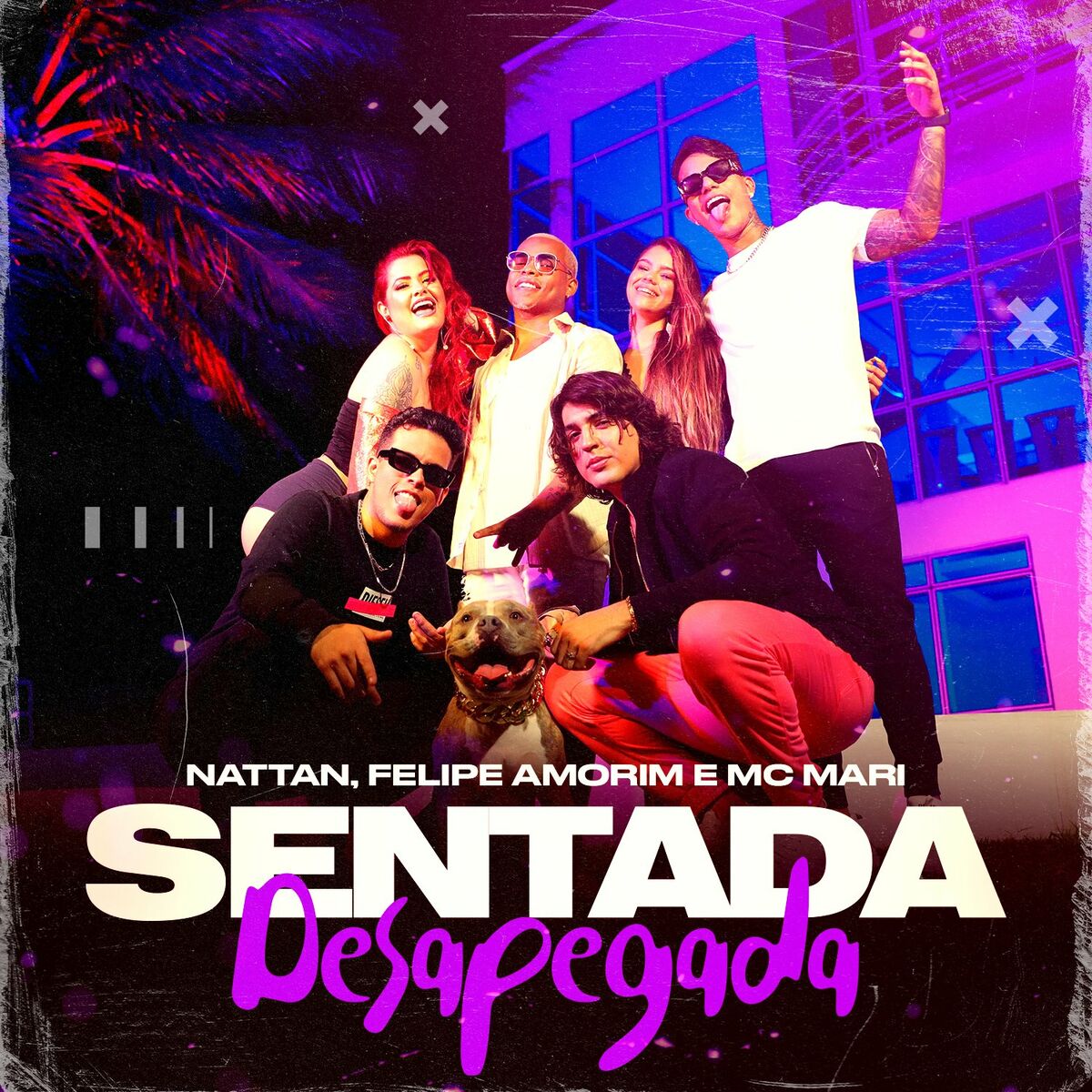 Album cover of Sentada Desapegada