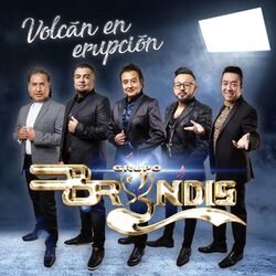 Cover of Volcán en Erupción