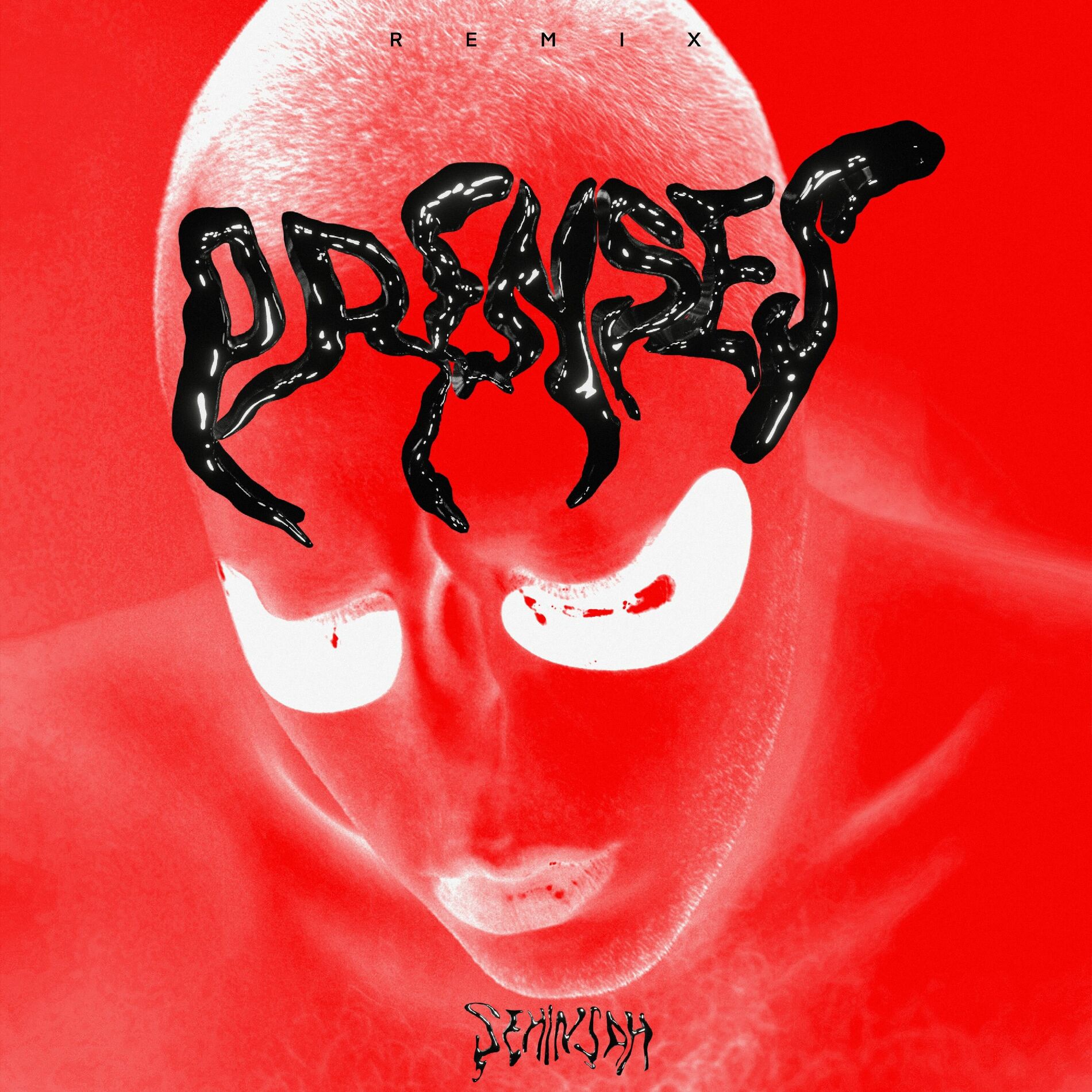 Album cover of Prenses