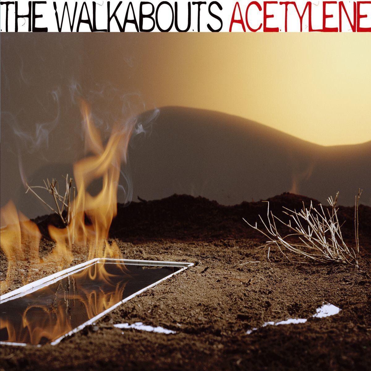 Album cover of Acetylene