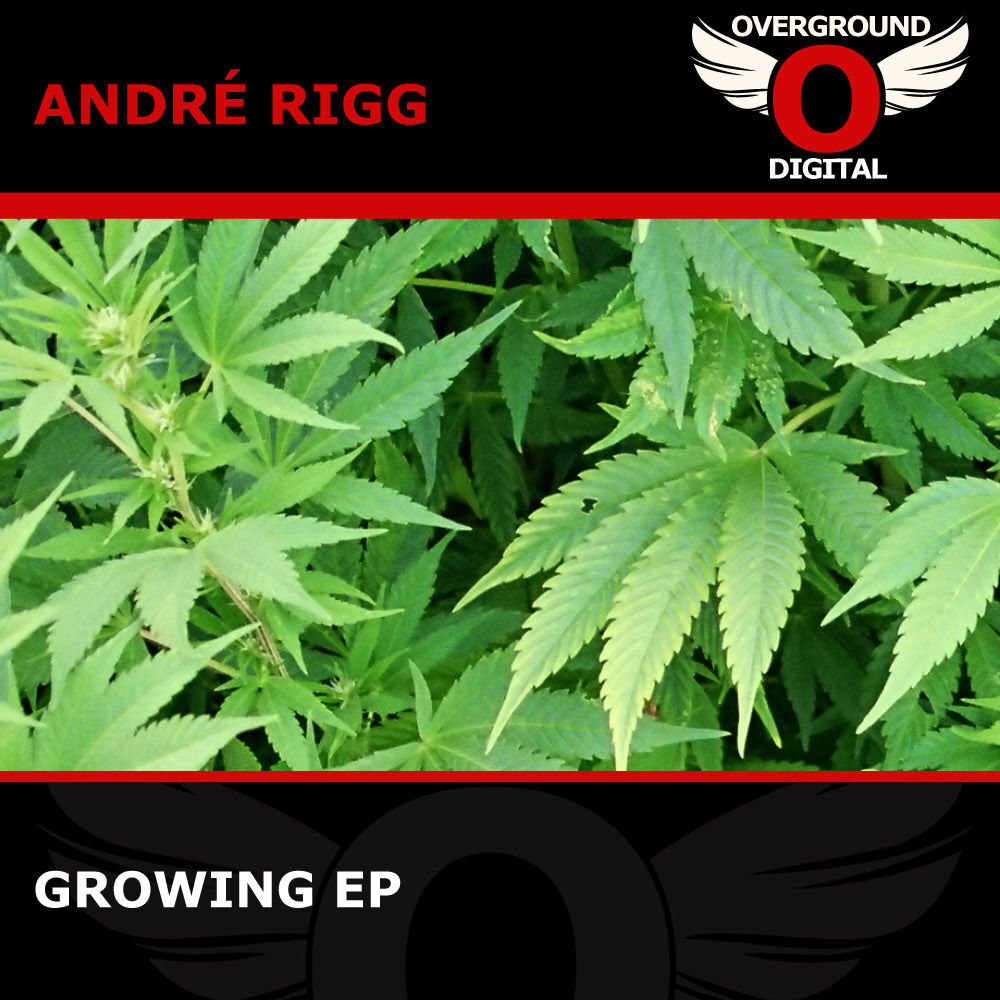 Picture of Growing EP