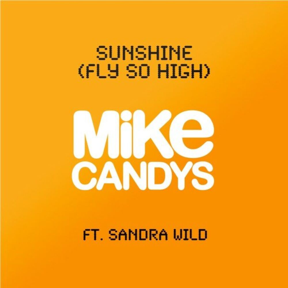 Picture of Sunshine (Fly so High)