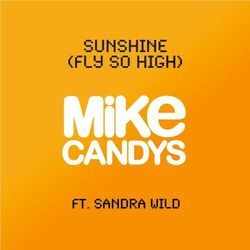 Cover of Sunshine (Fly so High)