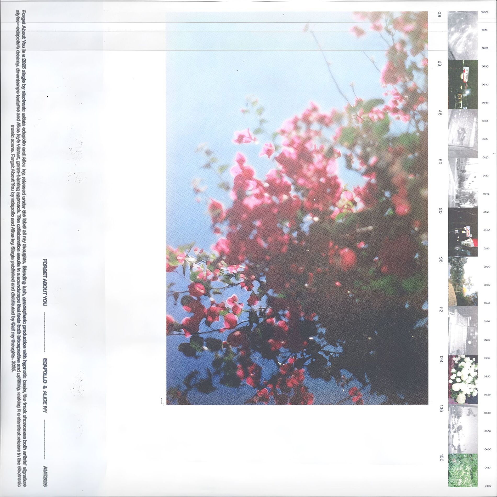 Album cover of forgetaboutyou