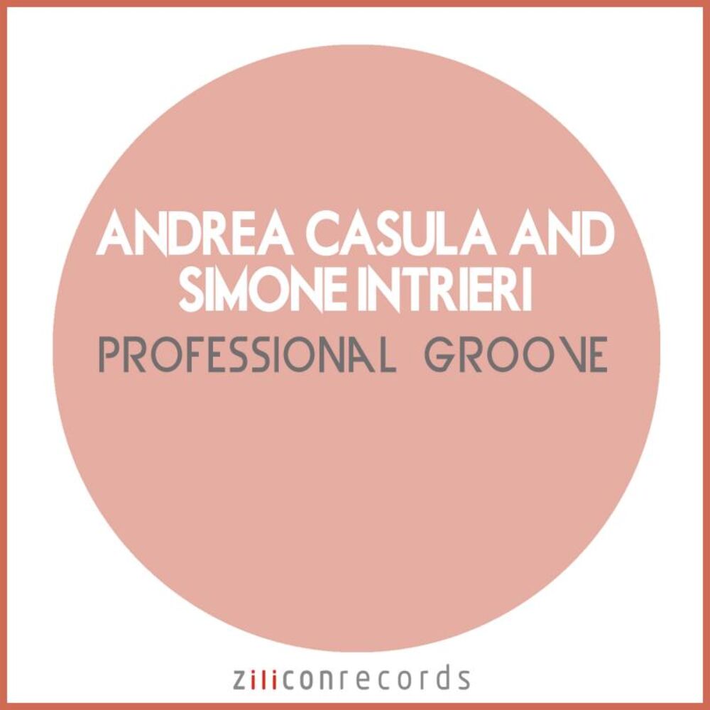 Picture of Professional Groove