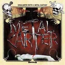 Cover of Cosa avete fatto a Metal Carter?