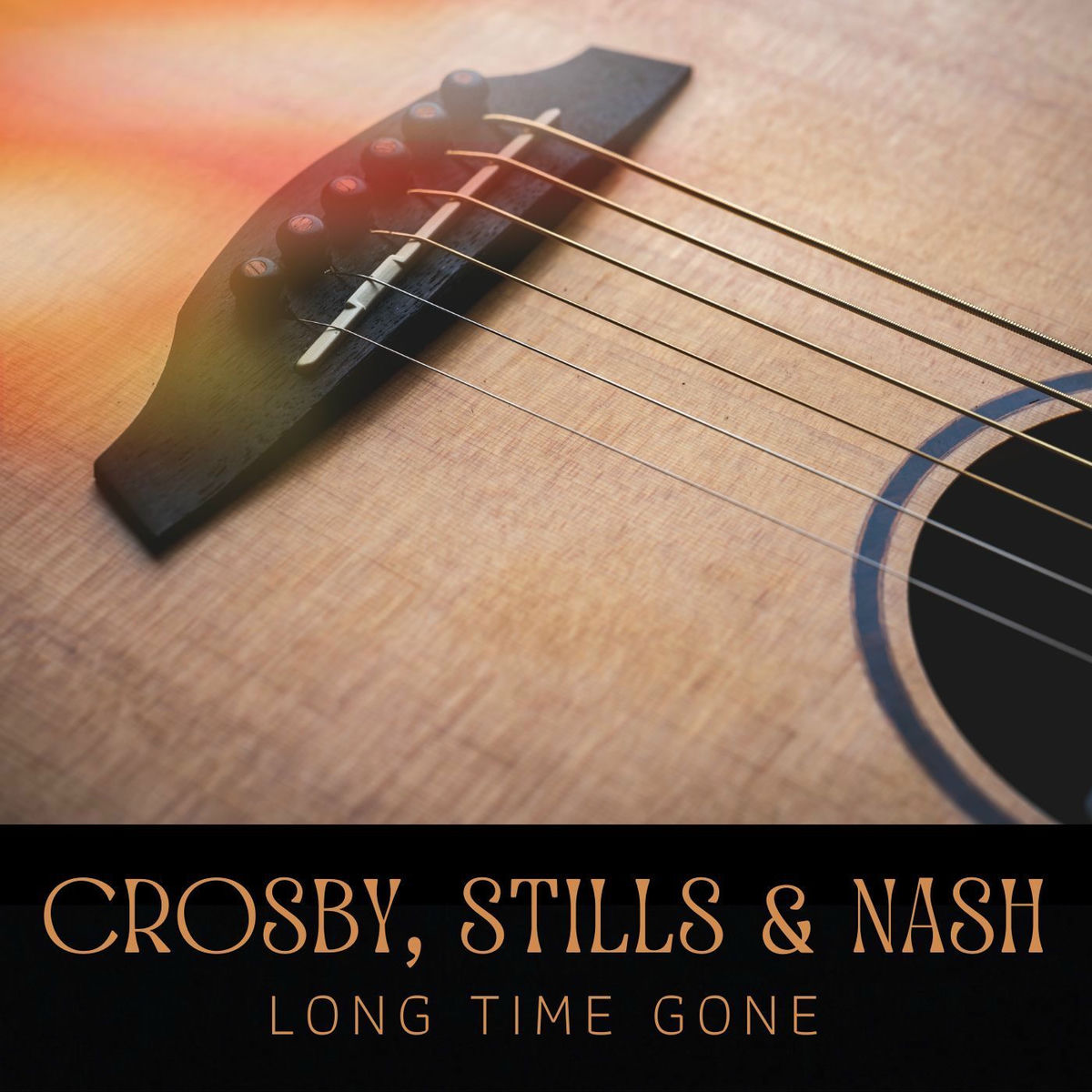 Album cover of Long Time Gone