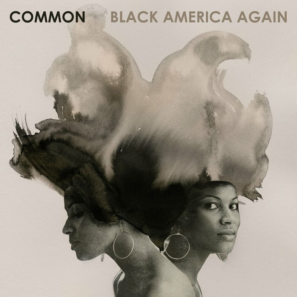Picture of Black America Again