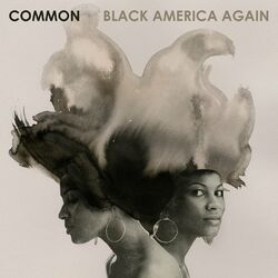 Cover of Black America Again