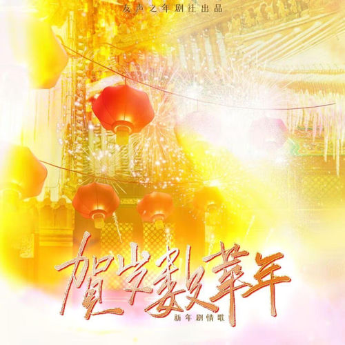贺岁数华年