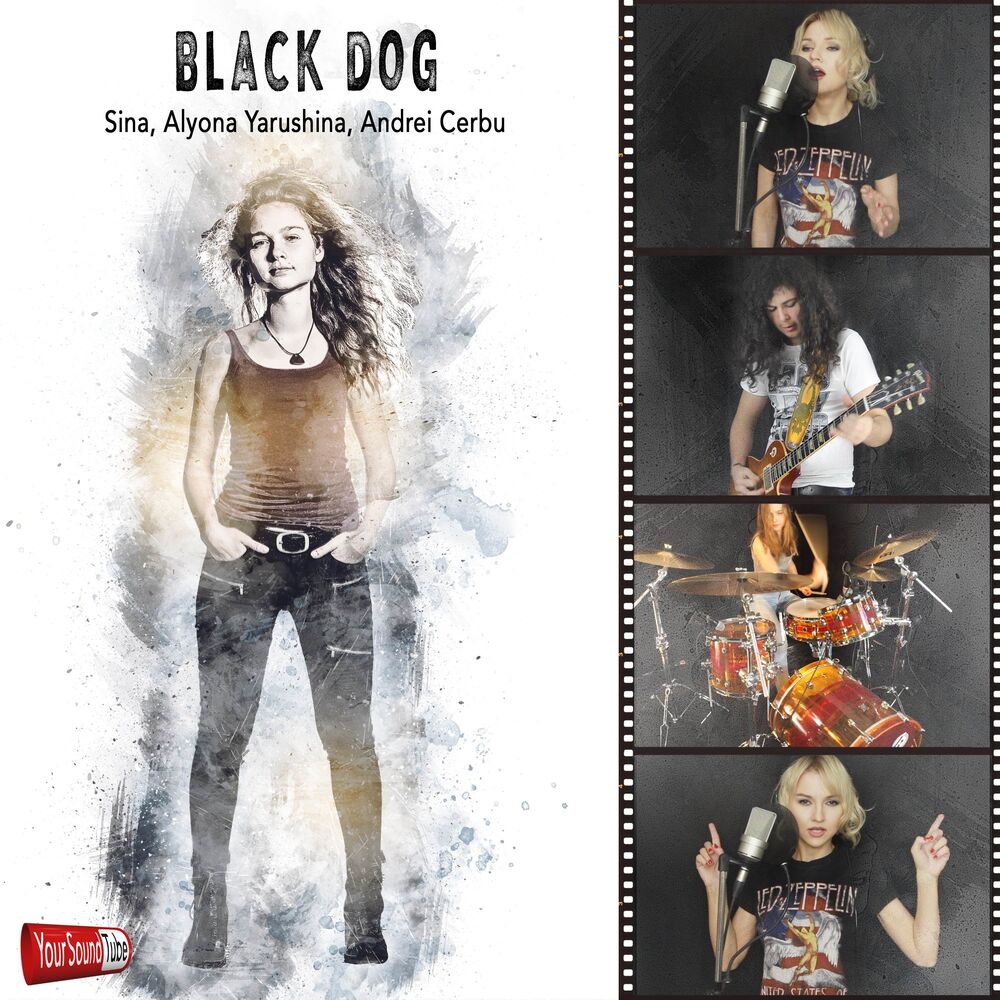 Picture of Black Dog
