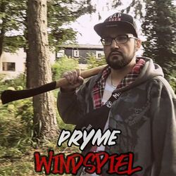 Cover of Windspiel