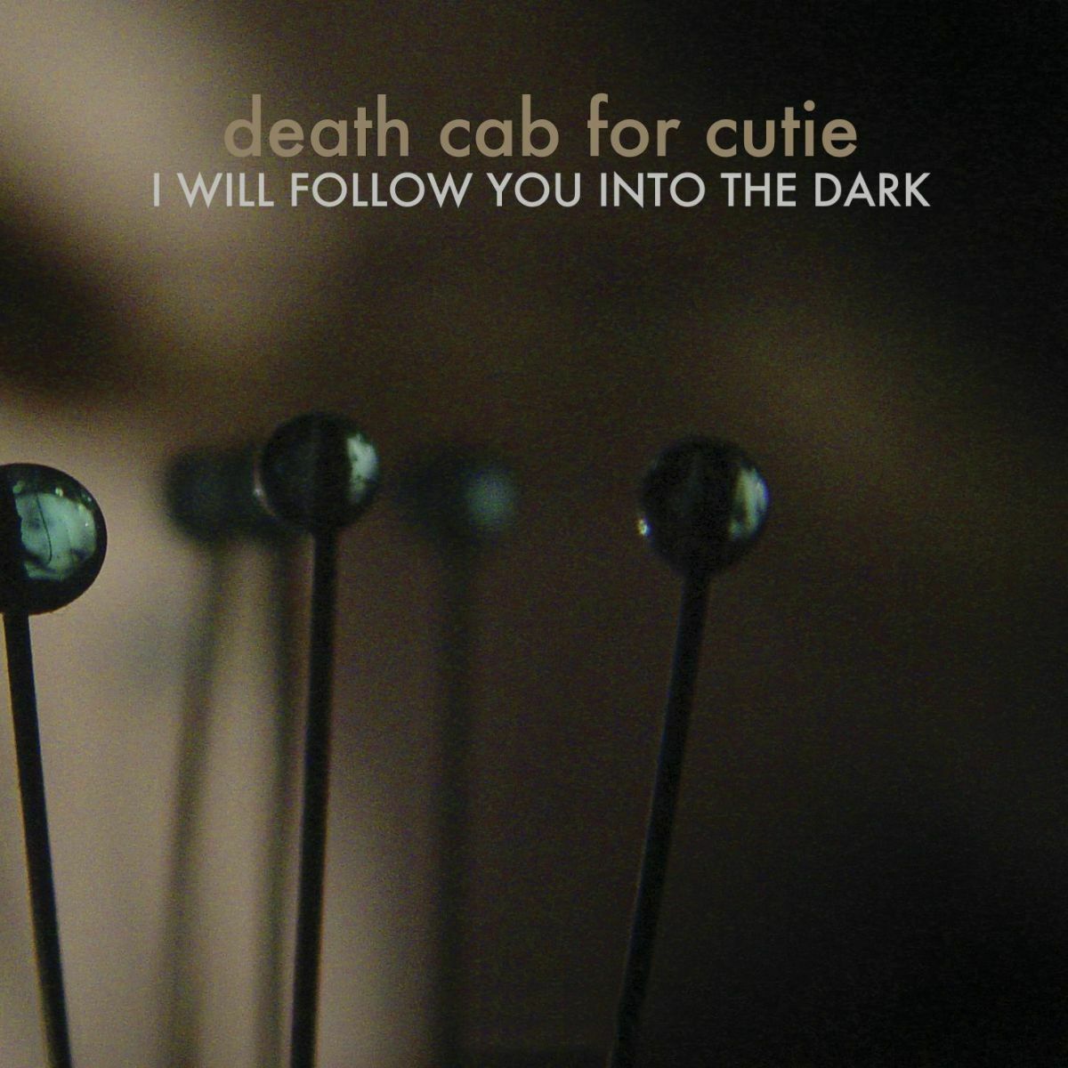 Album cover of I Will Follow You into the Dark