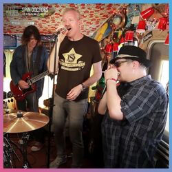 Cover of Spin Doctors (Live in Napa Valley, CA 2014)