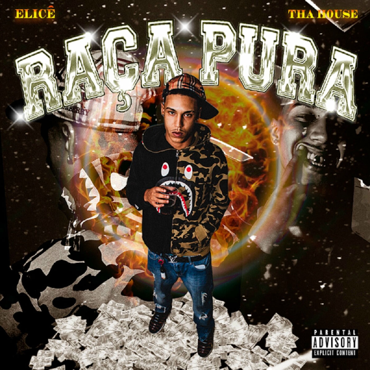 Album cover of Raça Pura