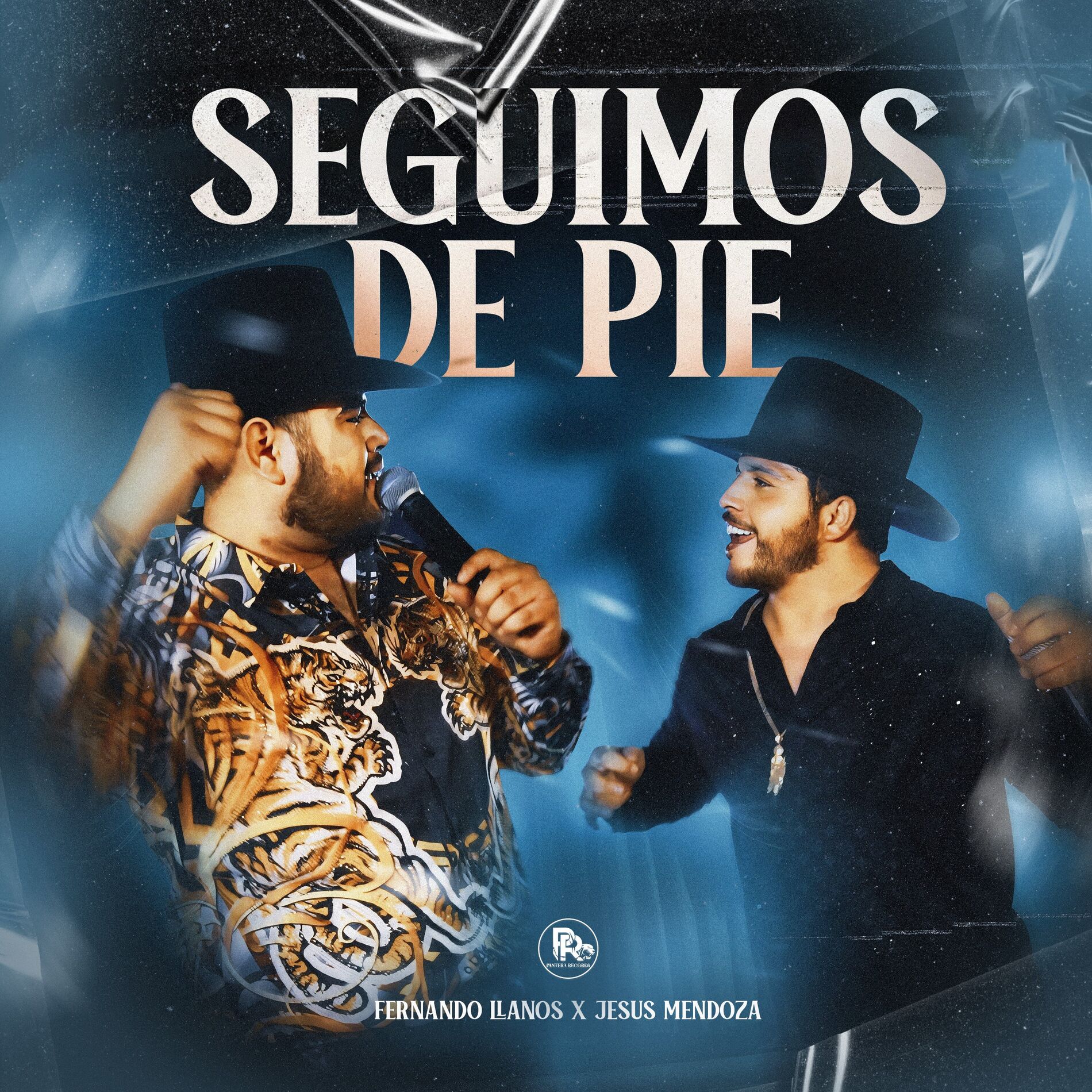 Album cover of Seguimos De Pie