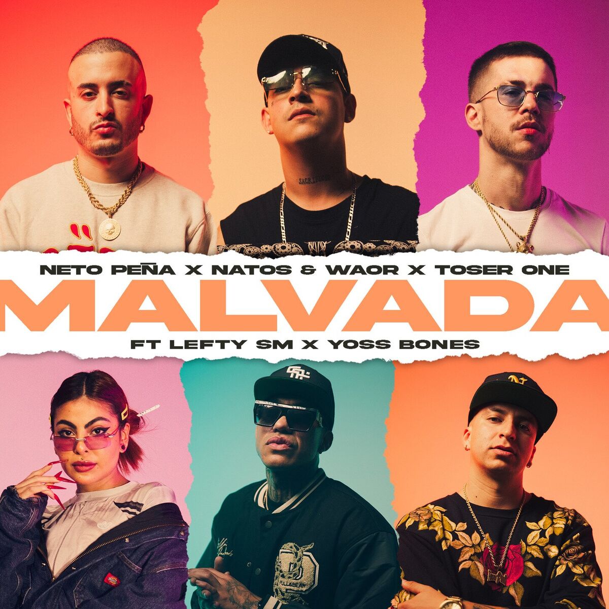 Album cover of Malvada