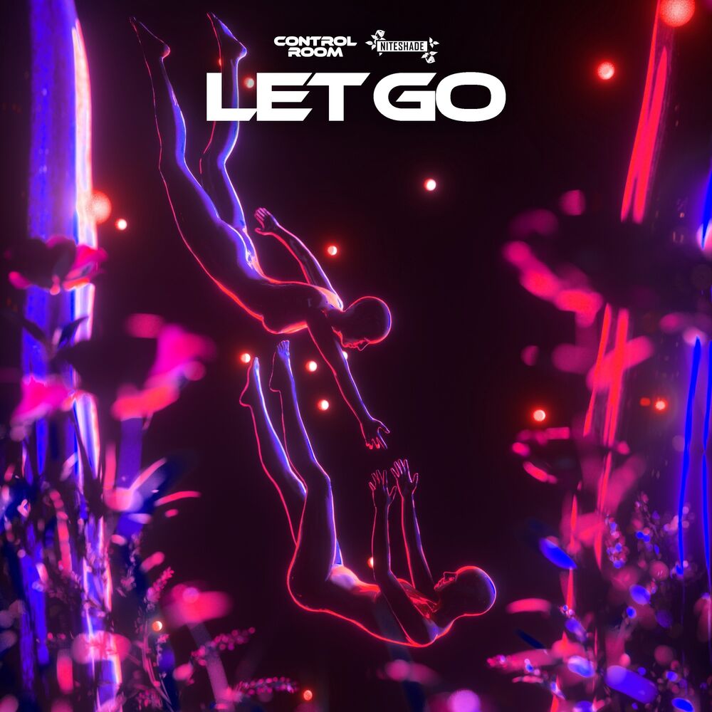Picture of Let Go