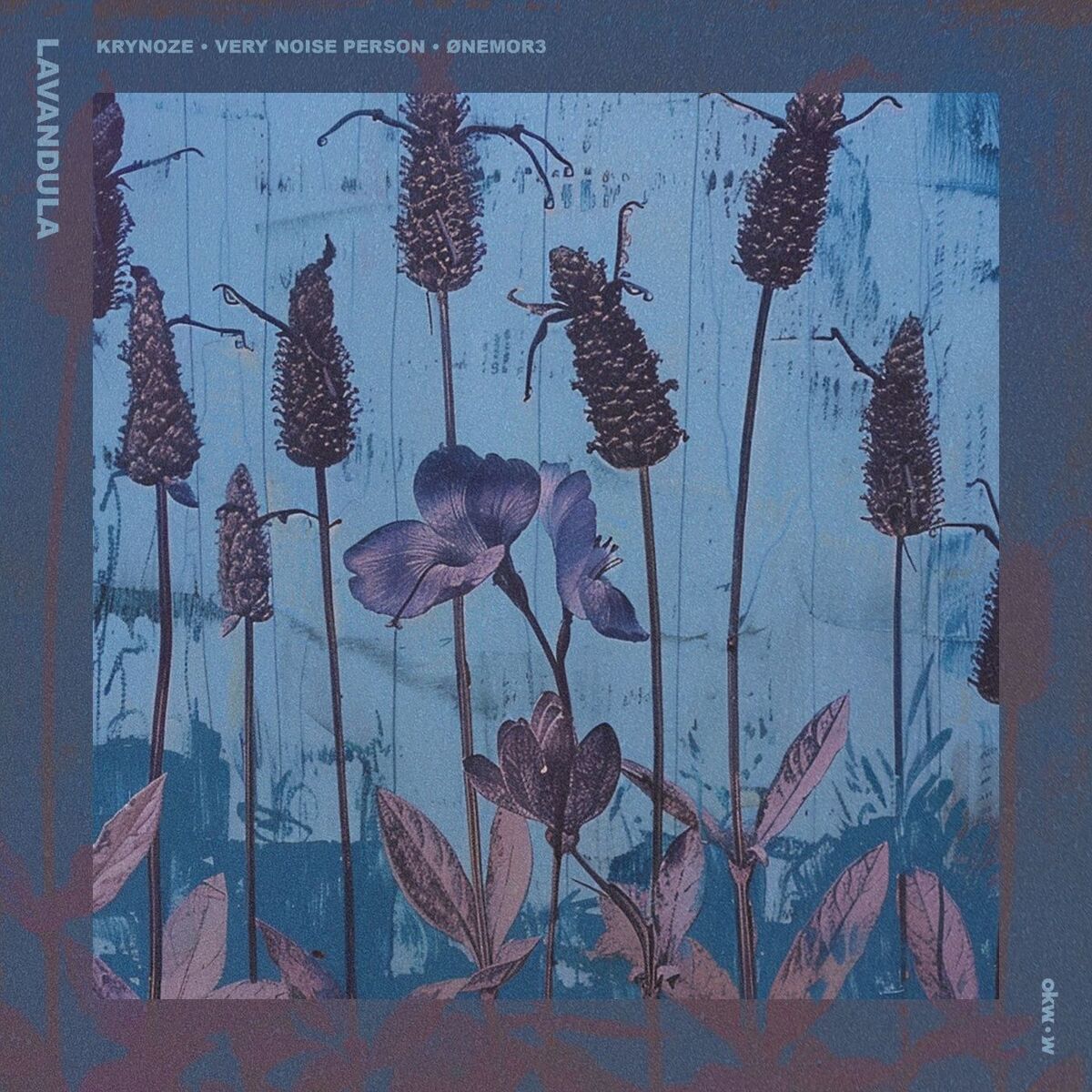 Album cover of Lavandula