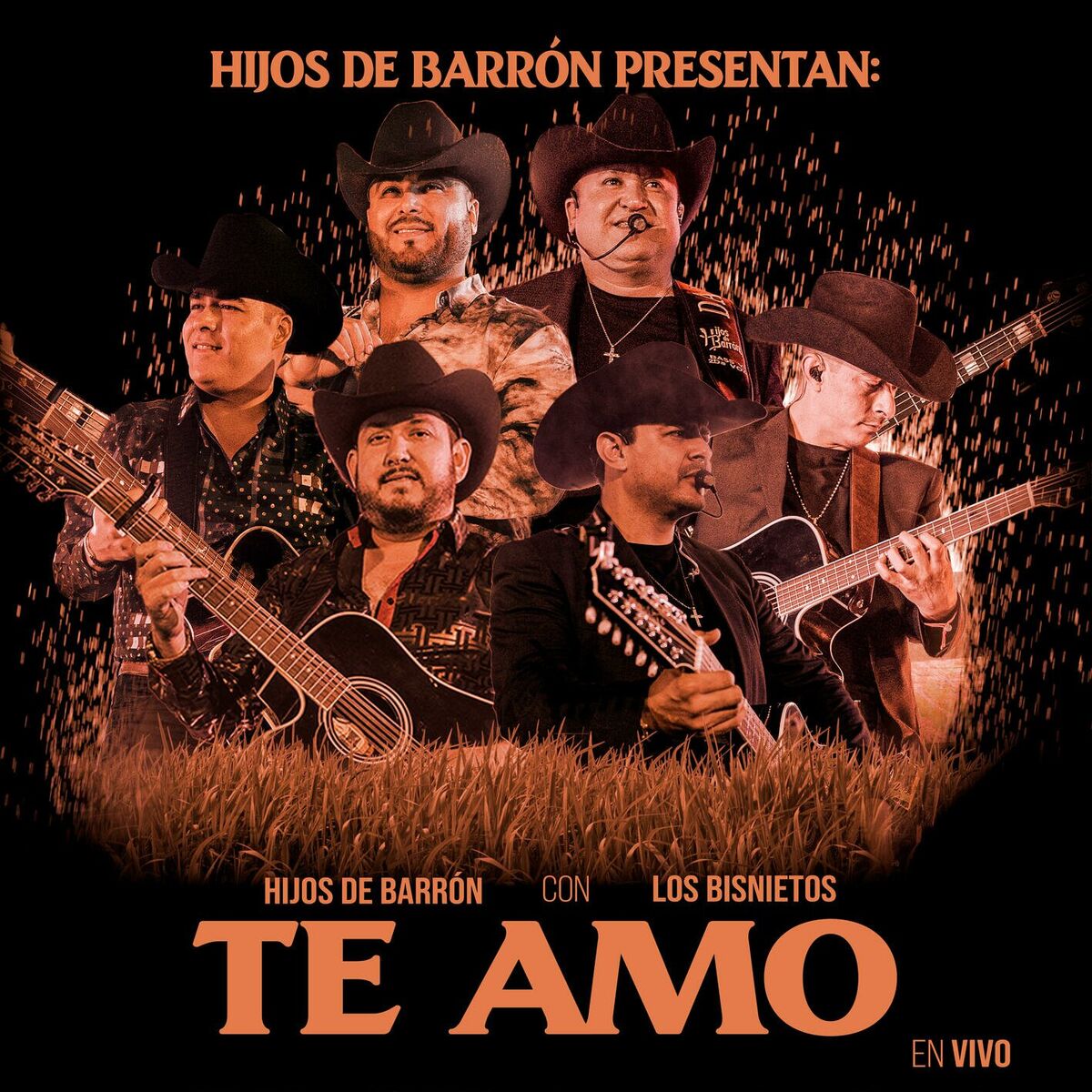 Album cover of Te Amo