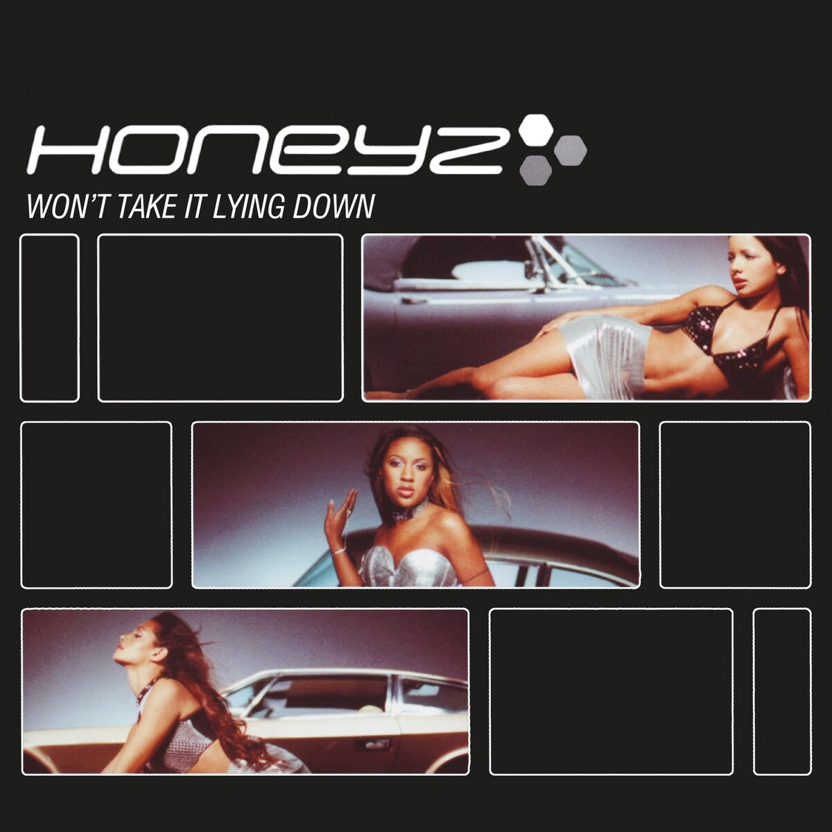 Album cover of Won’t Take It Lying Down