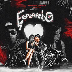 Cover of Esperando