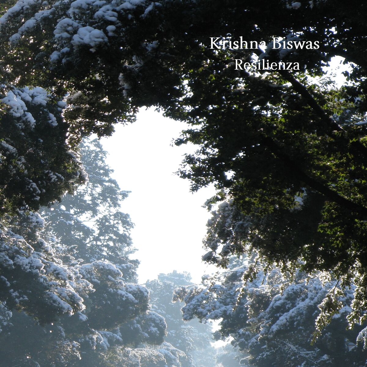 Album cover of Resilienza